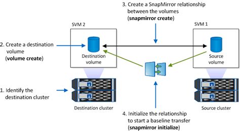 snapmirror update.